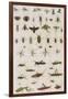 Insects, Seba's Thesaurus, 1734-Science Source-Framed Giclee Print