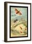 Insects: Syrtomastes Paradoxus, Cerbus Flaveobus-James Duncan-Framed Art Print