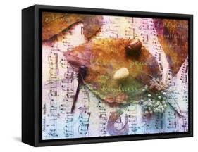 Insects XX-Fernando Palma-Framed Stretched Canvas