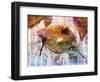 Insects XX-Fernando Palma-Framed Premium Giclee Print