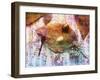 Insects XX-Fernando Palma-Framed Giclee Print