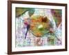 Insects XXI-Fernando Palma-Framed Giclee Print