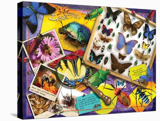 Insects-Encyclopaedia Britannica-Stretched Canvas