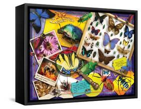 Insects-Encyclopaedia Britannica-Framed Stretched Canvas