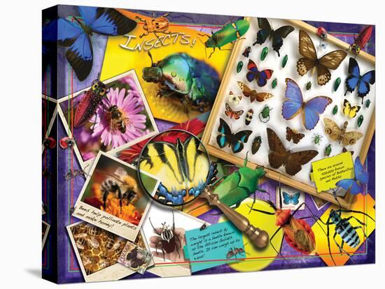 Insects-Encyclopaedia Britannica-Stretched Canvas