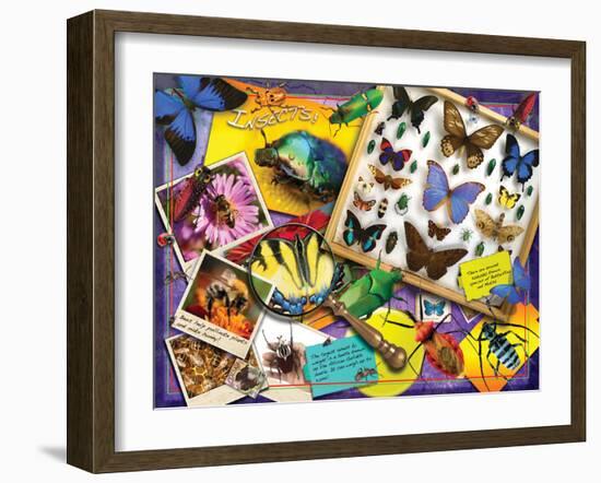 Insects-Encyclopaedia Britannica-Framed Art Print