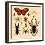 Insects-Alena Kozlova-Framed Art Print