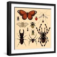 Insects-Alena Kozlova-Framed Art Print