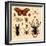 Insects-Alena Kozlova-Framed Art Print