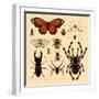 Insects-Alena Kozlova-Framed Art Print