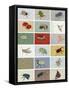 Insects-Eliza Southwood-Framed Stretched Canvas