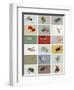 Insects-Eliza Southwood-Framed Giclee Print