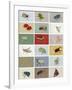 Insects-Eliza Southwood-Framed Giclee Print