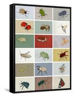 Insects-Eliza Southwood-Framed Stretched Canvas