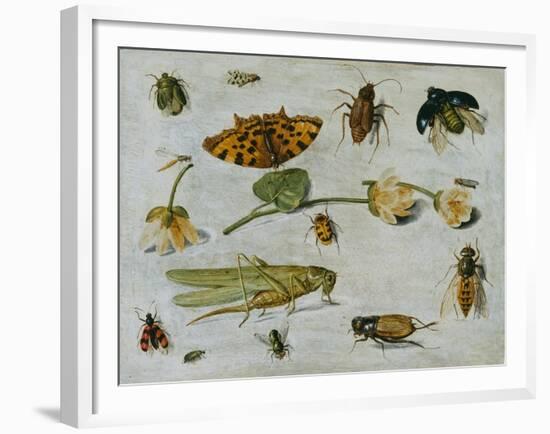 Insects-Jan van Kessel the Elder-Framed Giclee Print