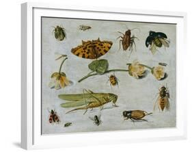 Insects-Jan van Kessel the Elder-Framed Giclee Print