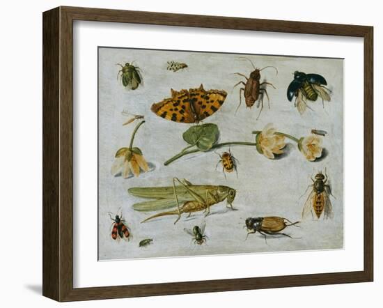 Insects-Jan van Kessel the Elder-Framed Giclee Print
