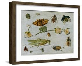 Insects-Jan van Kessel the Elder-Framed Giclee Print