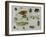 Insects-Jan van Kessel the Elder-Framed Giclee Print