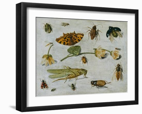 Insects-Jan van Kessel the Elder-Framed Giclee Print