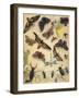 Insects-Richard Andre-Framed Giclee Print