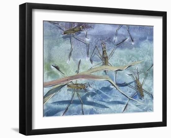 Insects-null-Framed Giclee Print