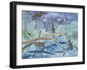 Insects-null-Framed Giclee Print