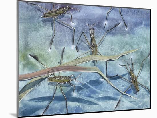 Insects-null-Mounted Giclee Print