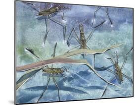 Insects-null-Mounted Giclee Print