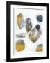 Inset II-Jennifer Goldberger-Framed Limited Edition