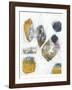 Inset II-Jennifer Goldberger-Framed Limited Edition