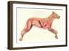 Inside a Dog-null-Framed Art Print