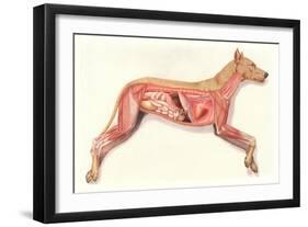 Inside a Dog-null-Framed Art Print