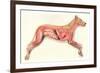 Inside a Dog-null-Framed Art Print