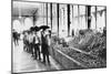 Inside a Food Market in Zacatecas Mexico Photograph - Zacatecas, Mexico-Lantern Press-Mounted Art Print