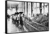 Inside a Food Market in Zacatecas Mexico Photograph - Zacatecas, Mexico-Lantern Press-Framed Stretched Canvas