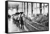 Inside a Food Market in Zacatecas Mexico Photograph - Zacatecas, Mexico-Lantern Press-Framed Stretched Canvas