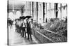 Inside a Food Market in Zacatecas Mexico Photograph - Zacatecas, Mexico-Lantern Press-Stretched Canvas