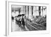 Inside a Food Market in Zacatecas Mexico Photograph - Zacatecas, Mexico-Lantern Press-Framed Art Print