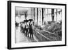 Inside a Food Market in Zacatecas Mexico Photograph - Zacatecas, Mexico-Lantern Press-Framed Art Print