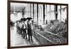 Inside a Food Market in Zacatecas Mexico Photograph - Zacatecas, Mexico-Lantern Press-Framed Art Print