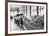 Inside a Food Market in Zacatecas Mexico Photograph - Zacatecas, Mexico-Lantern Press-Framed Art Print