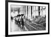 Inside a Food Market in Zacatecas Mexico Photograph - Zacatecas, Mexico-Lantern Press-Framed Art Print