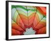 Inside a Hot Air Balloon-lorehere-Framed Photographic Print