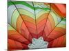 Inside a Hot Air Balloon-lorehere-Mounted Photographic Print
