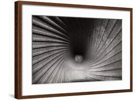 Inside a Howitzer-Tammy Putman-Framed Photographic Print