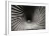 Inside a Howitzer-Tammy Putman-Framed Photographic Print