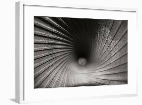 Inside a Howitzer-Tammy Putman-Framed Photographic Print