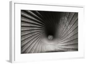 Inside a Howitzer-Tammy Putman-Framed Photographic Print