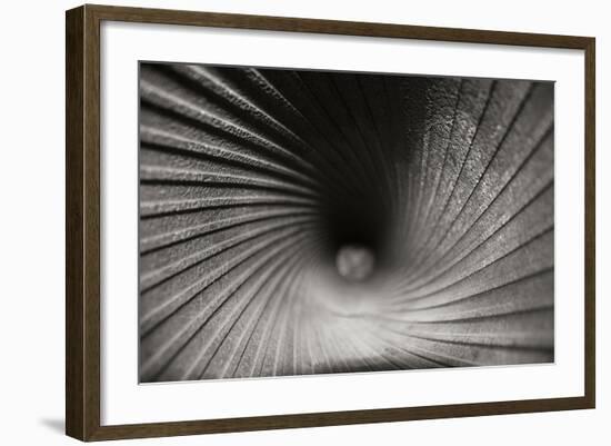 Inside a Howitzer-Tammy Putman-Framed Photographic Print